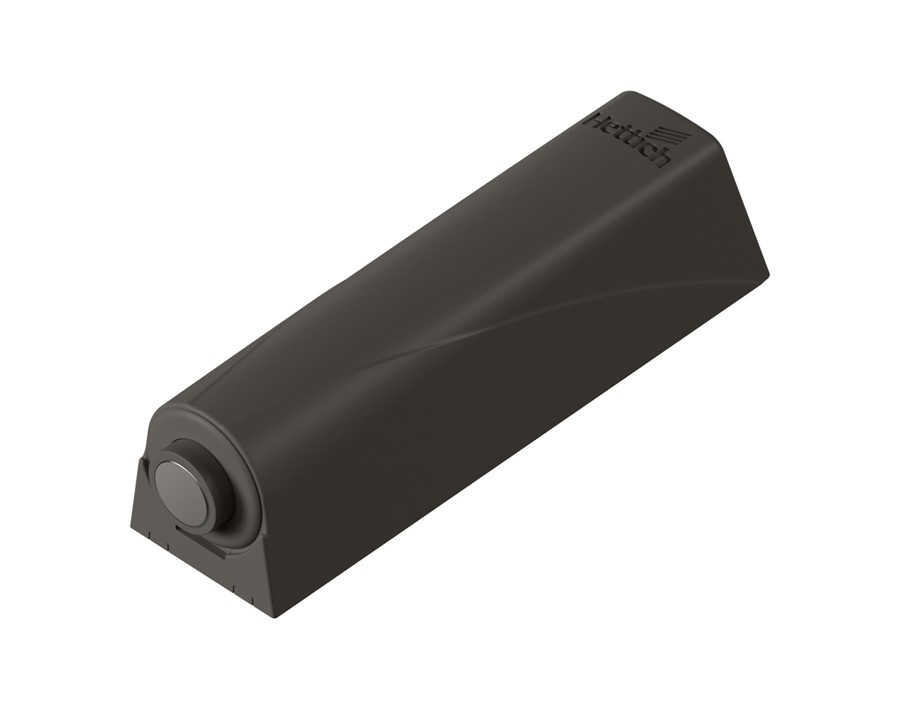 Magnet